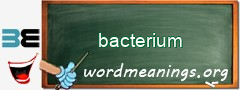 WordMeaning blackboard for bacterium